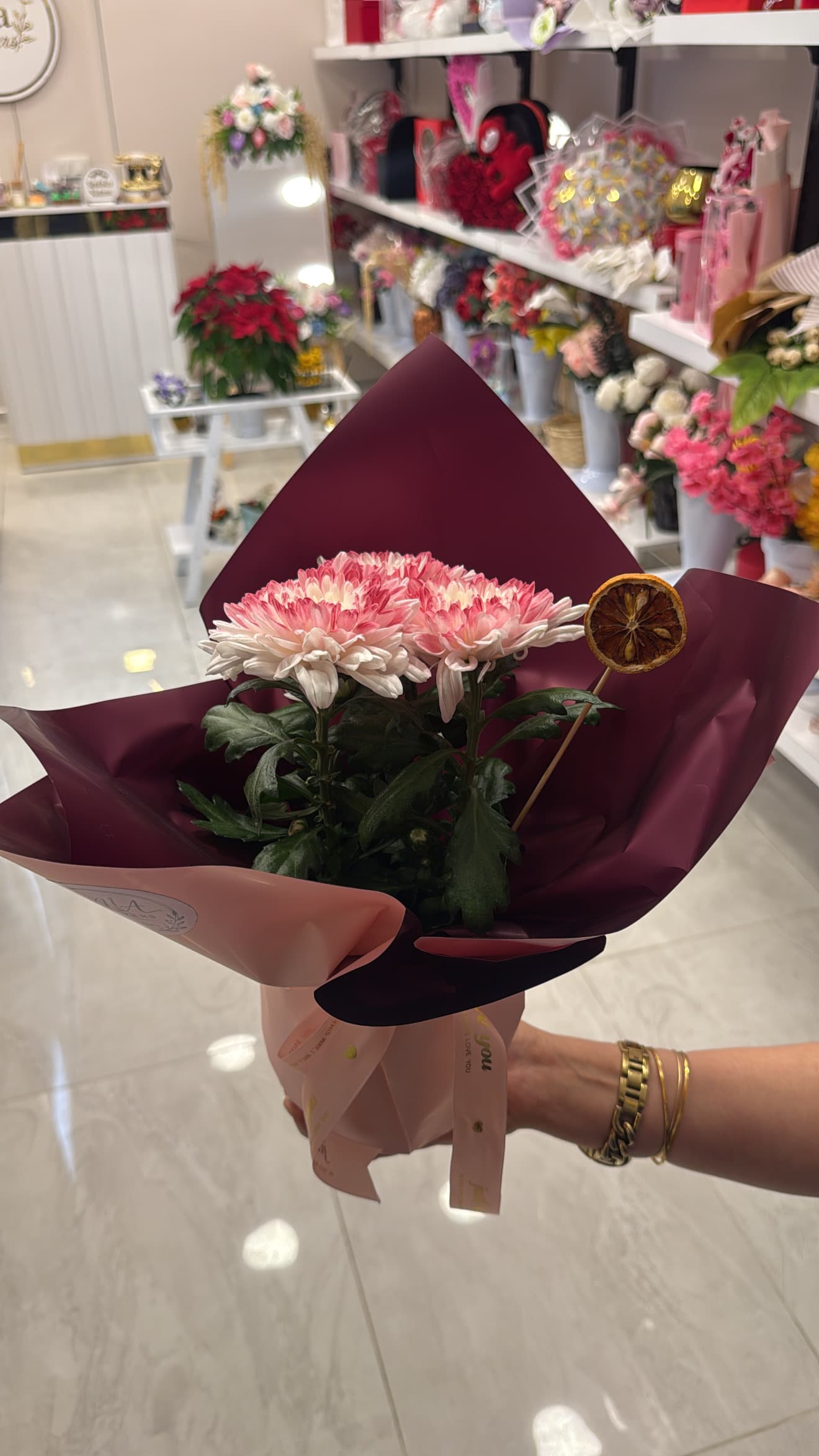 Pembe kasımpatı