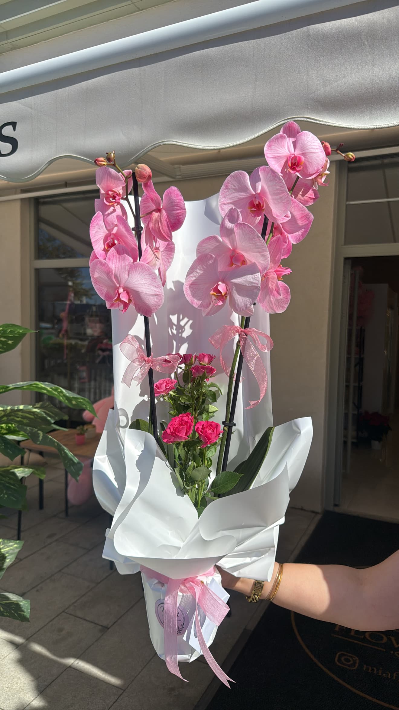Pembe orkidemiz