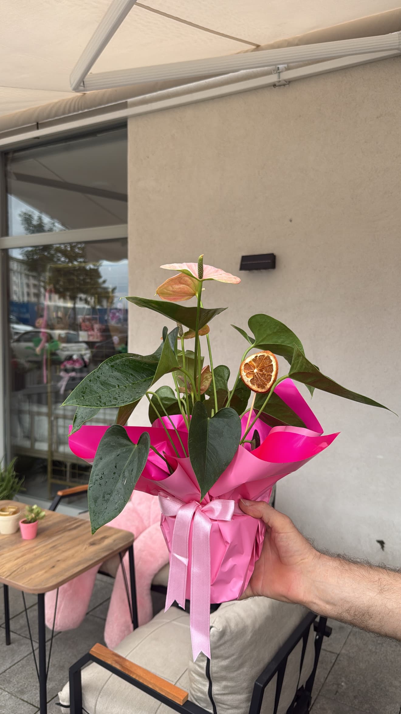 Pembe antoryum